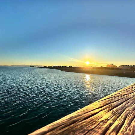 Le Cocon Marin - Magnifique Vue *